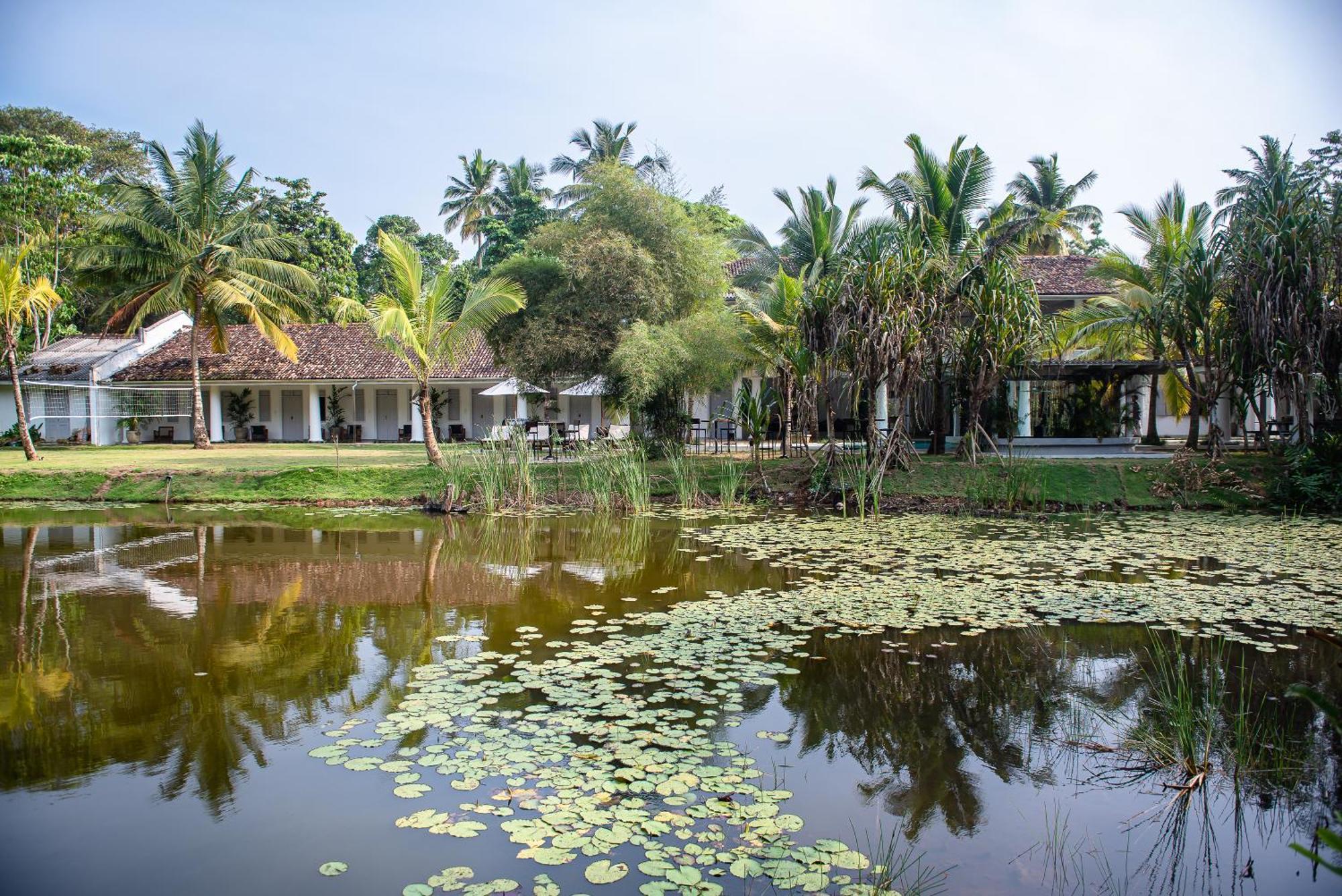 Good Story At Nirbana Island Bed & Breakfast Ahangama Bagian luar foto