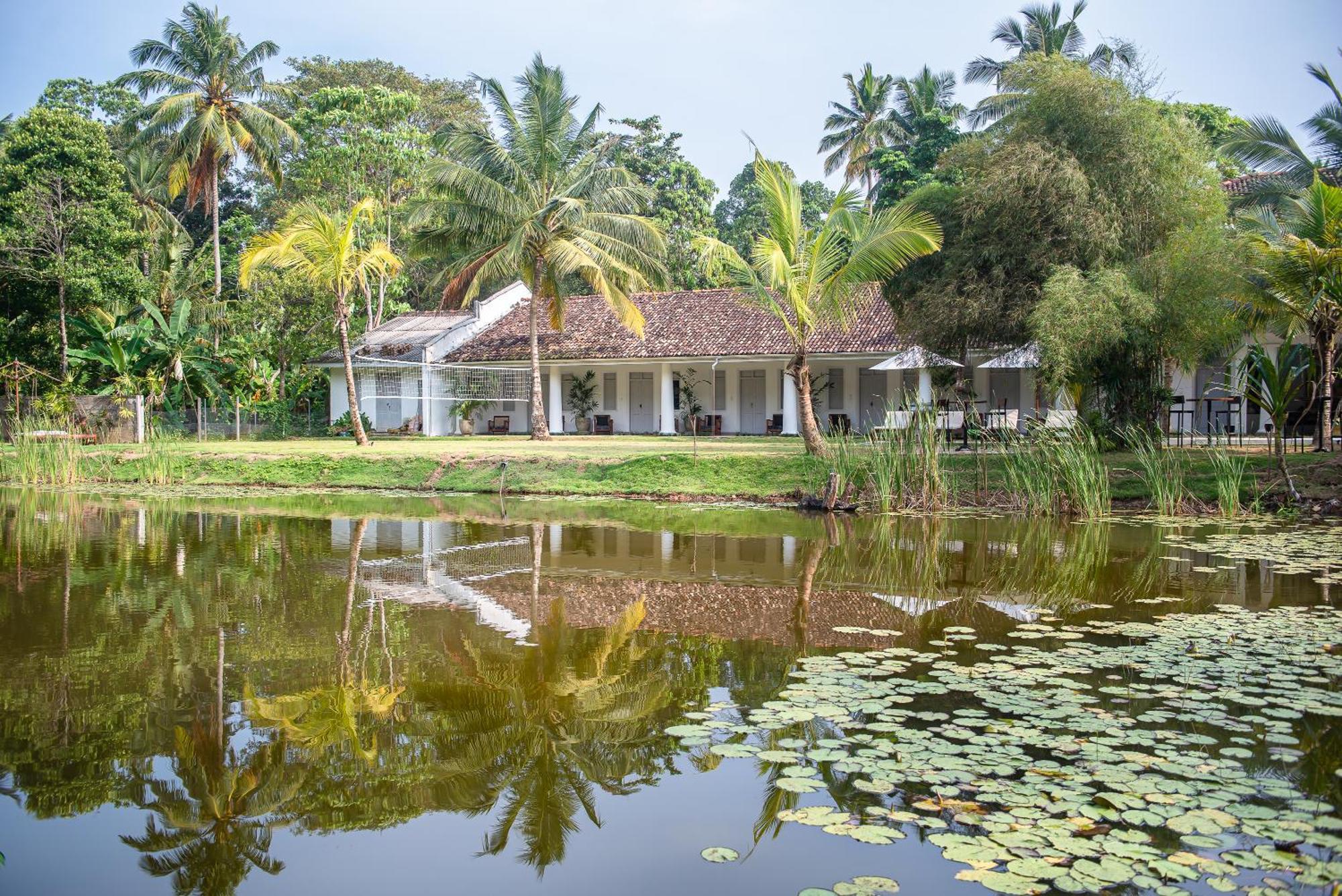 Good Story At Nirbana Island Bed & Breakfast Ahangama Bagian luar foto